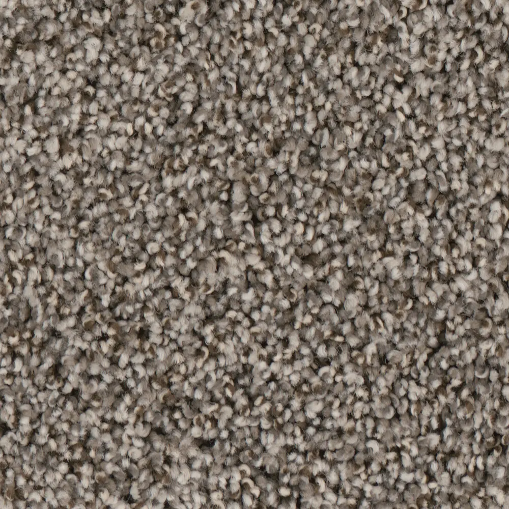 PHN.ZEUS.STOCK Phenix Zeus Carpet-1