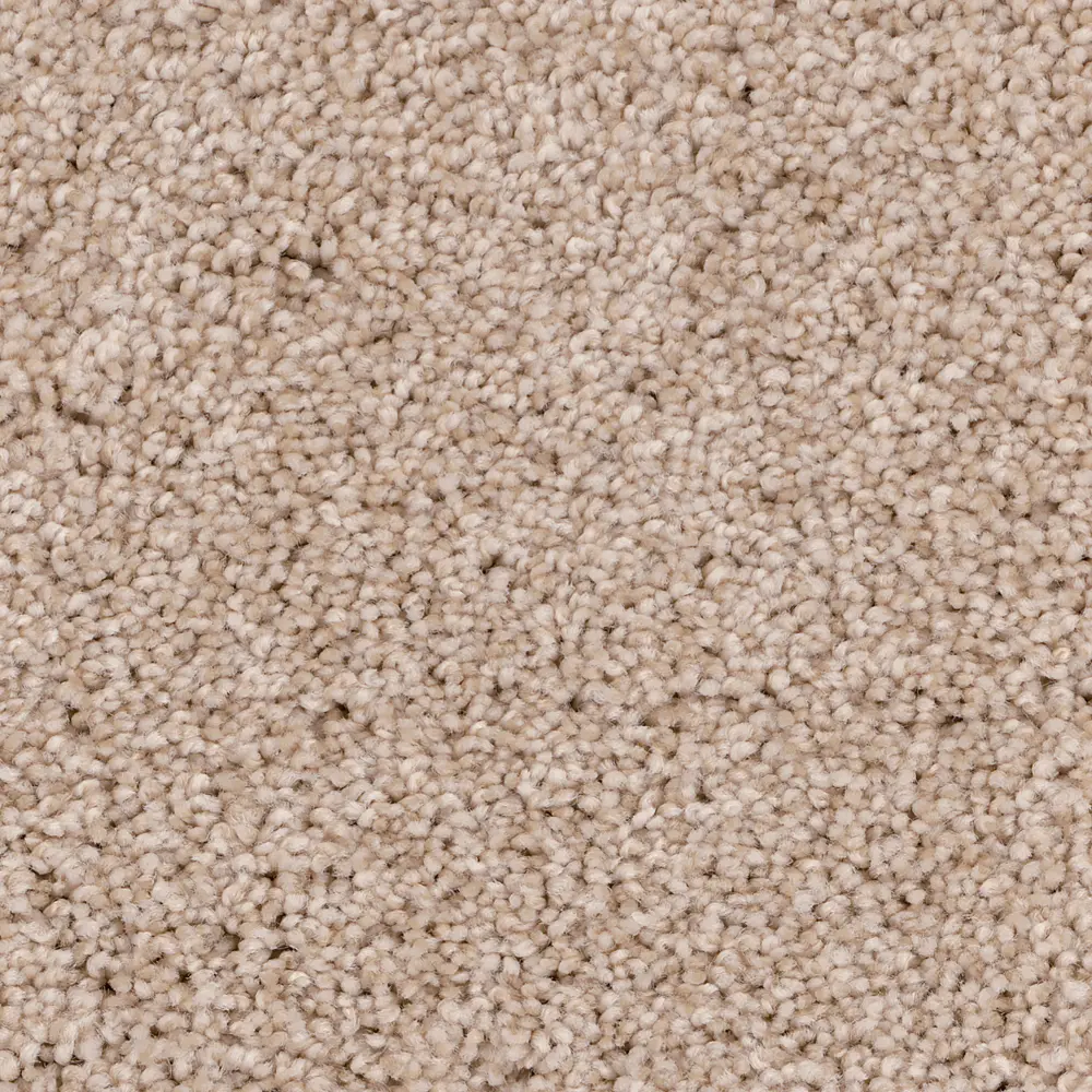 HPN.COASTAL,MD Phenix Coastal Carpet-1