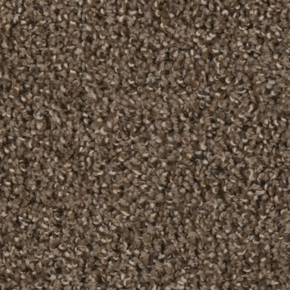 DWC.STEP.UP.STOCK Dream Weaver Step Up Carpet-2