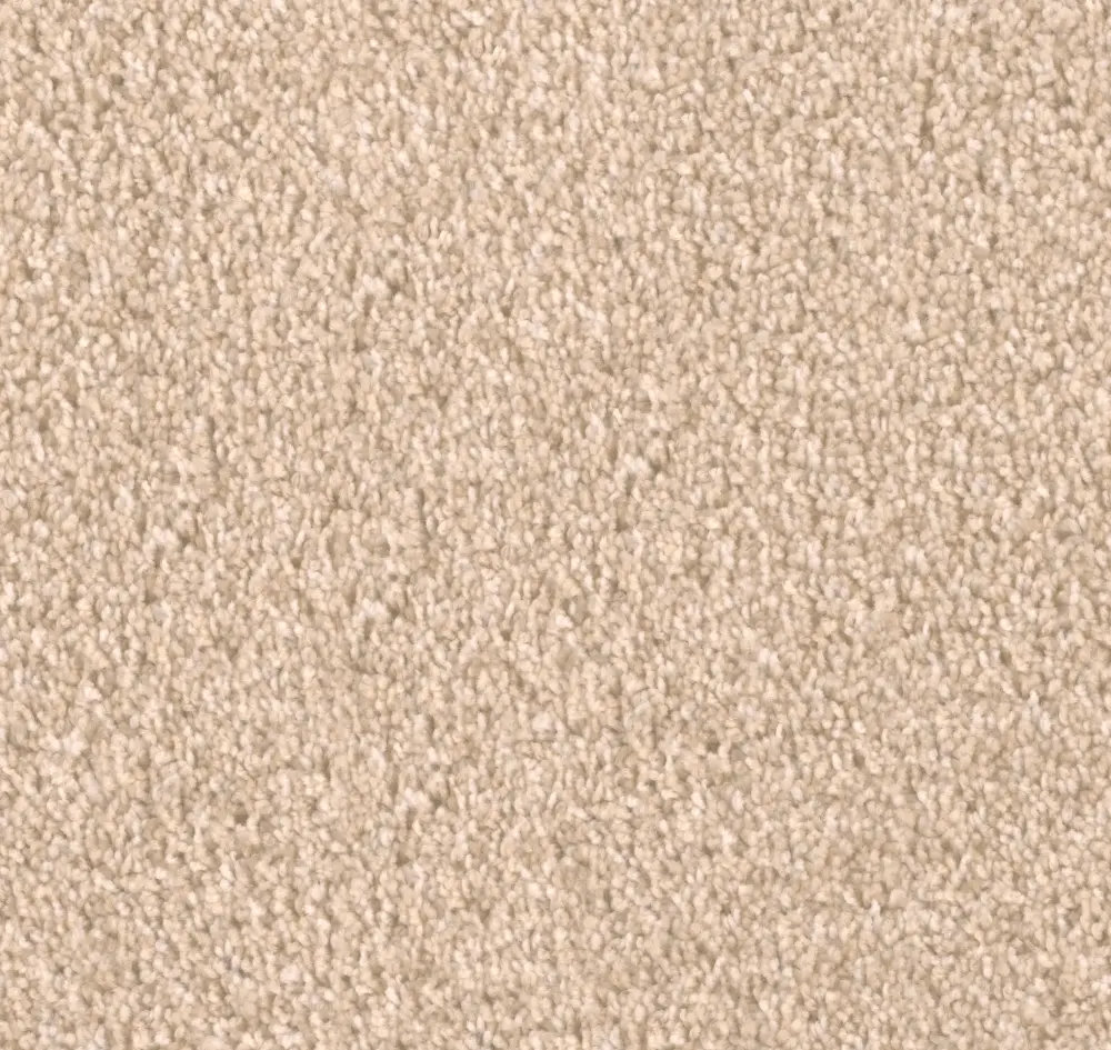 DWC.SHOW.TIME.STOCK Dream Weaver Show Time Carpet -2