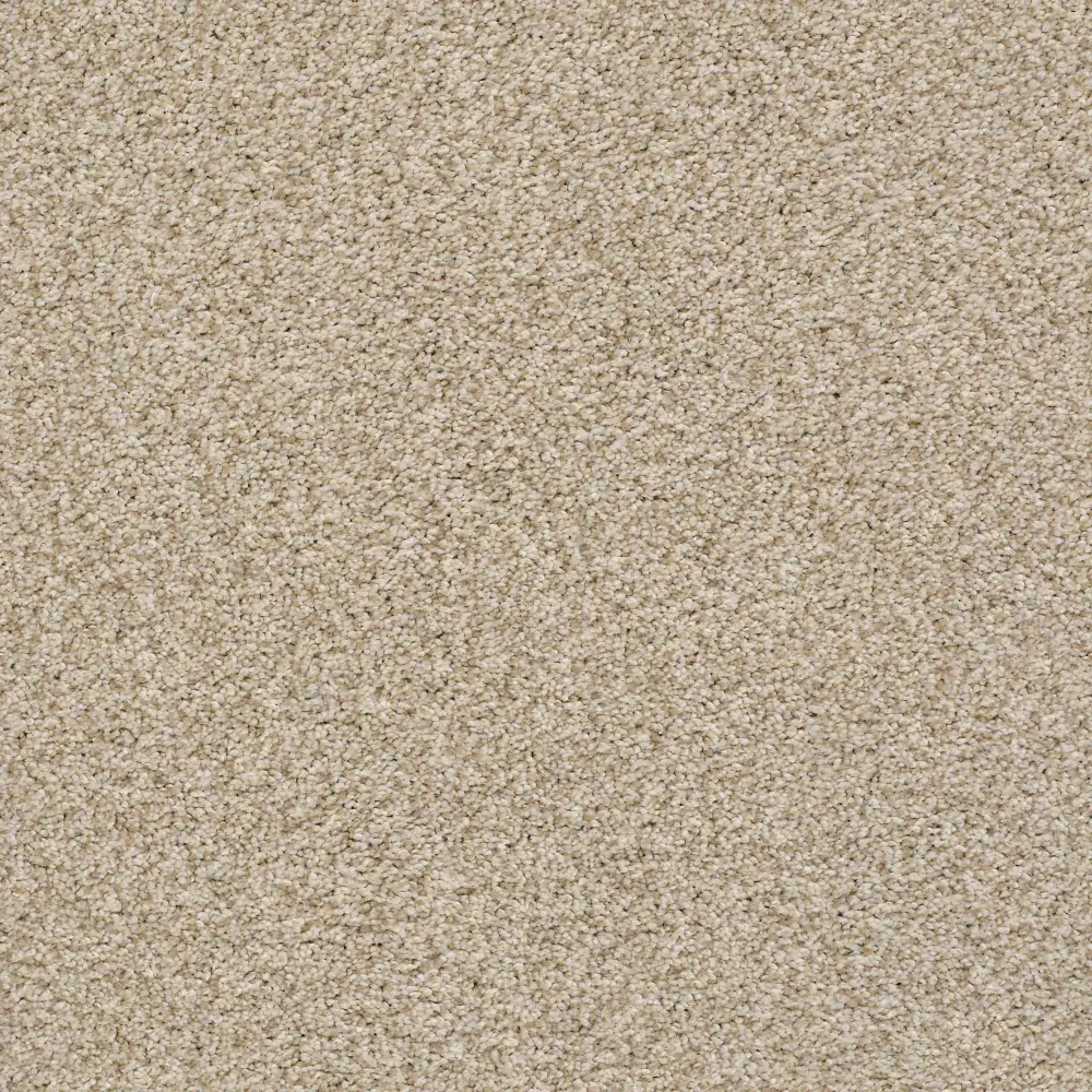 DSW.THE.BARK.SIDE.II.STOCK Tuftex The Bark Side II Carpet-1