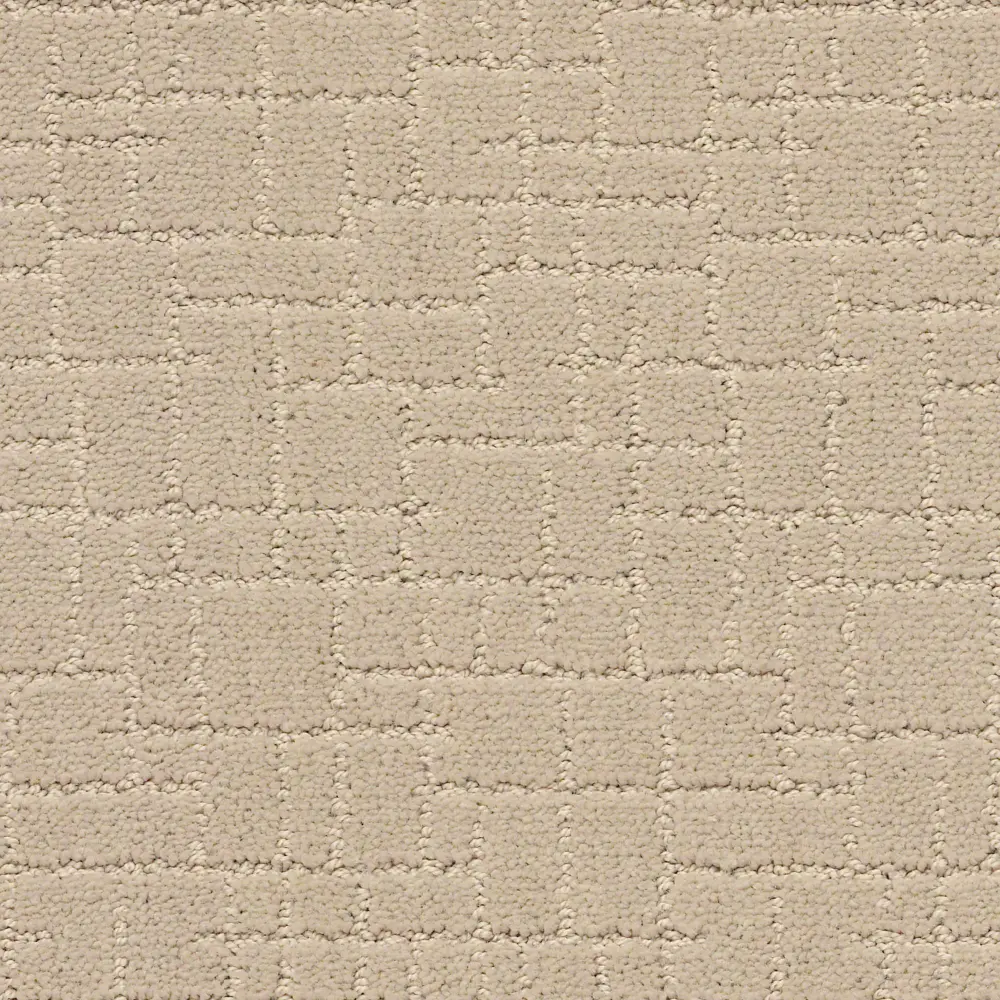 DSW.FAUX.PAW.STOCK Tuftex Faux Paw Carpet-1