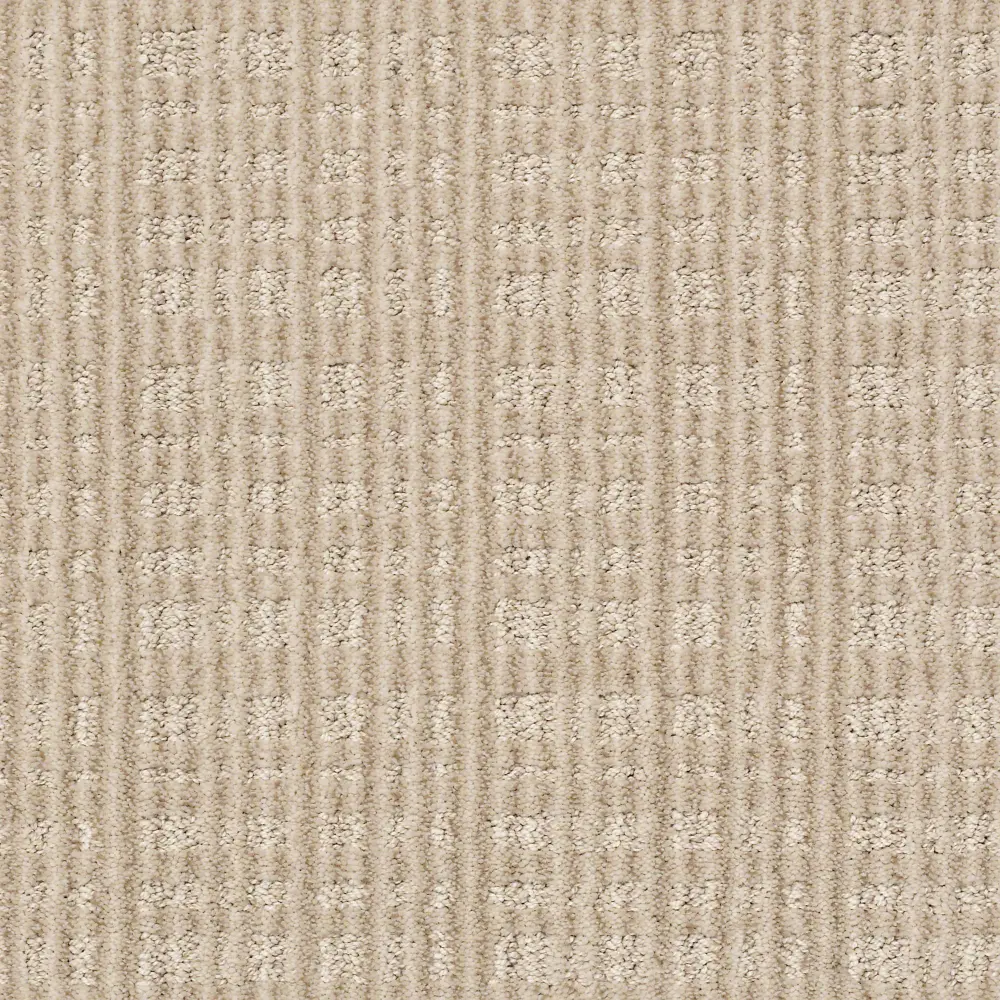 DSW.PURRSUASION.STOCK Tuftex Purrsuasion Carpet-1
