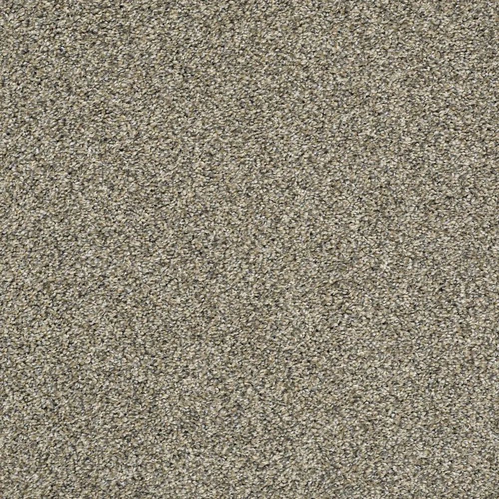 QUE.SWEET.APPEAL.STOCK Shaw Sweet Appeal Carpet-1