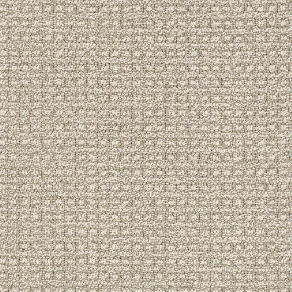 DSW.FETCH Tuftex Fetch Carpet-1