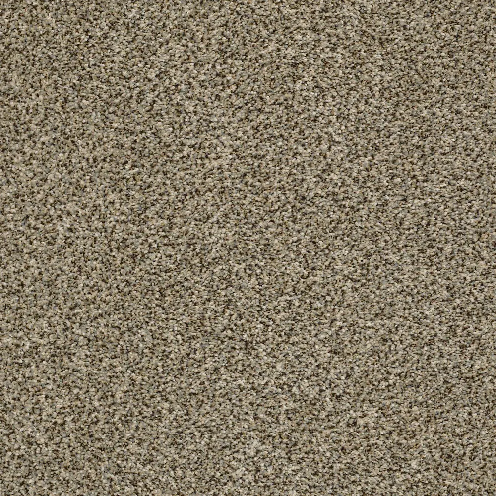 DSW.THE.BARK.SIDE.I Tuftex The Bark Side I Carpet-1
