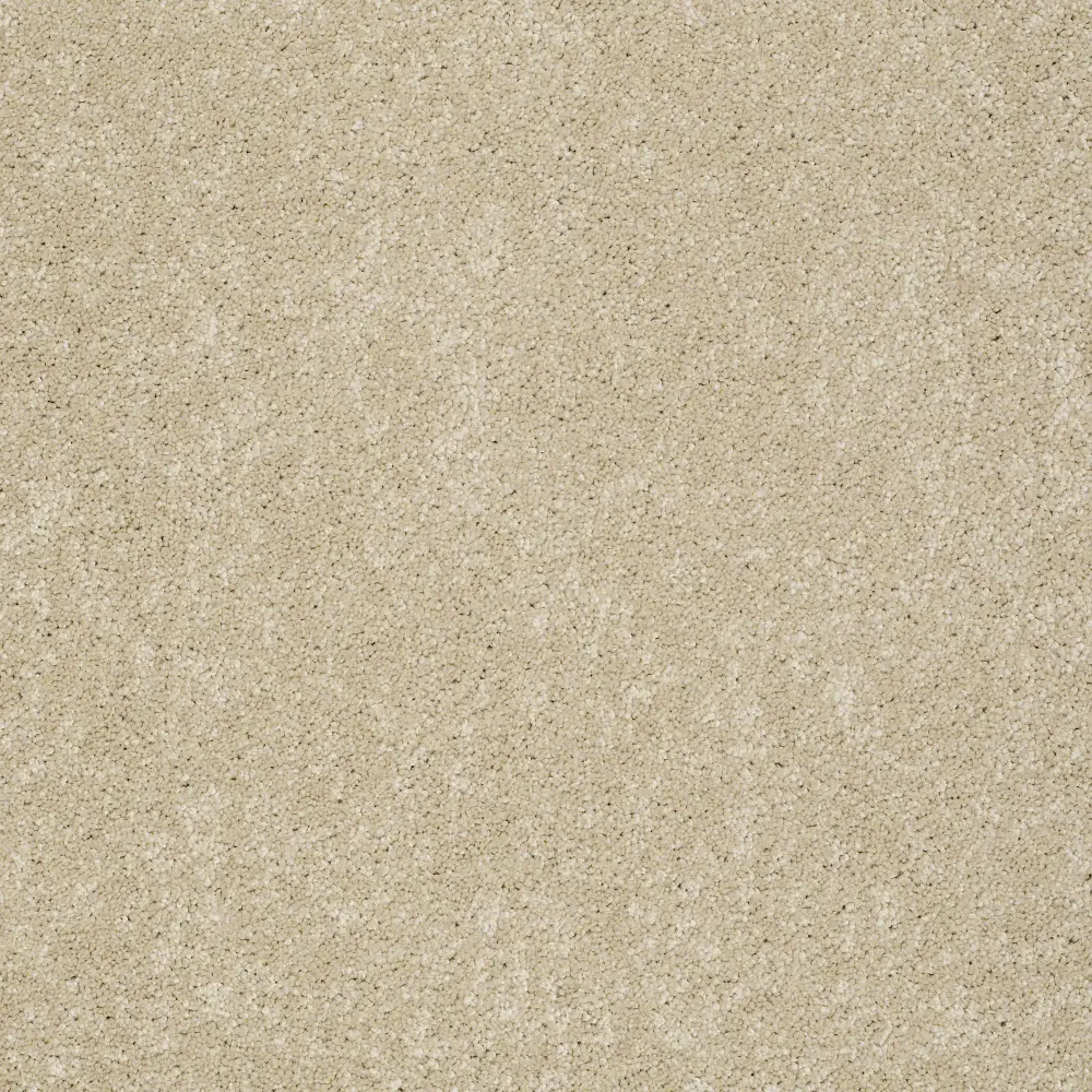 DSW.PAWPARAZZI.II Tuftex Pawparazzi II Carpet-1