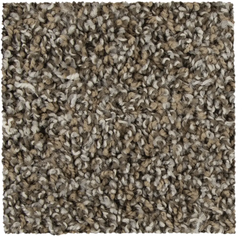 Mohawk Cozy II Carpet-1
