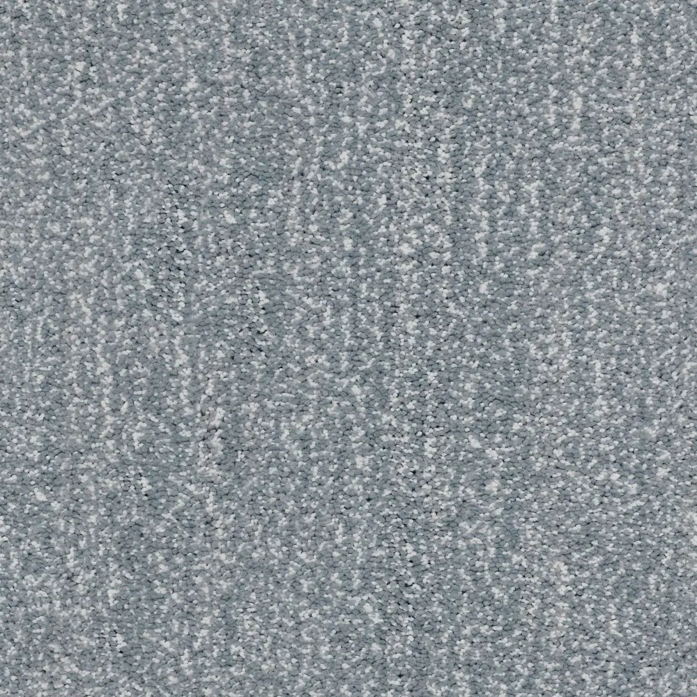 PHL.ELATION Shaw Elation Carpet-1