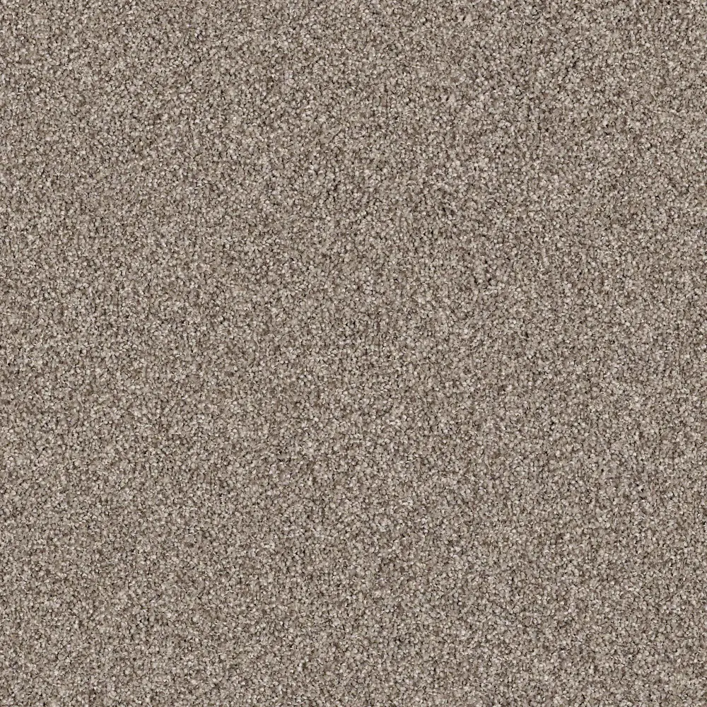 PHL.COLOR.EXPRESS.TONAL.I Shaw Color Express Tonal I Carpet-1