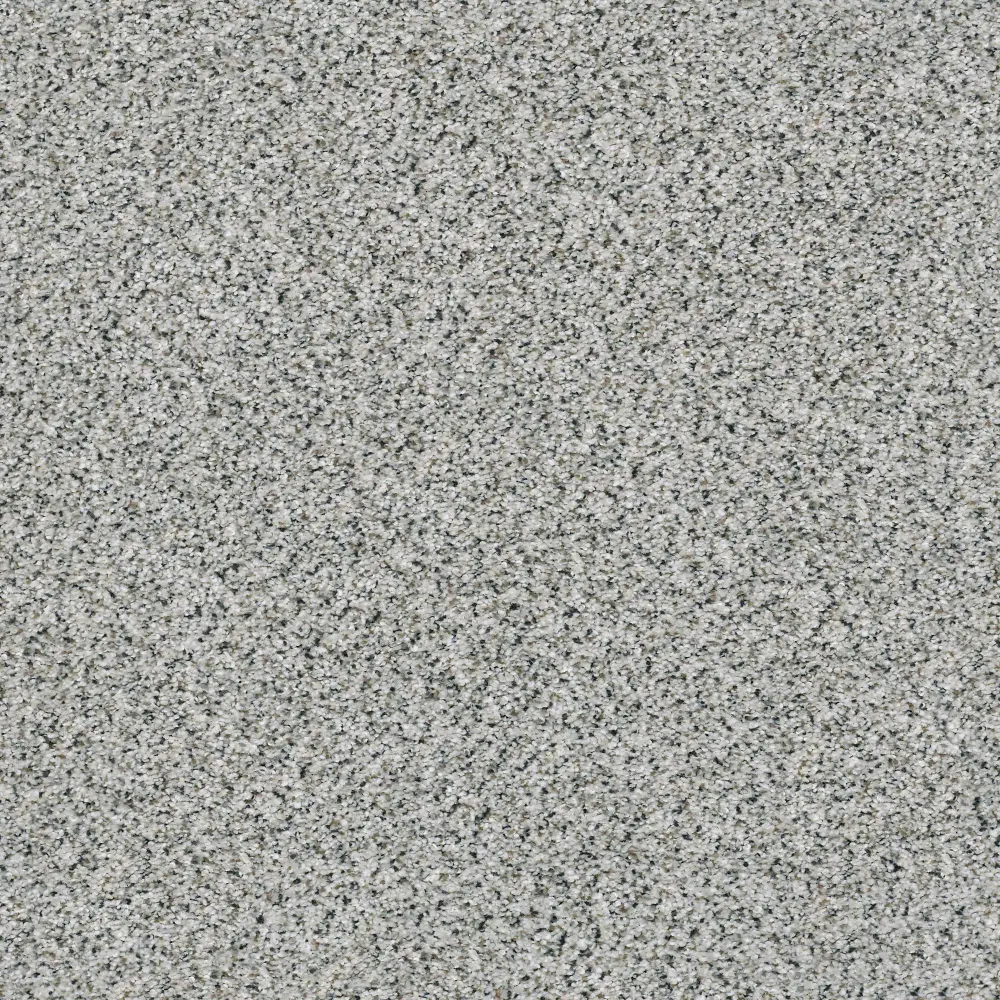 PHL.COLOR.EXPRESS.ACCENT.II Shaw Color Express Accent II Carpet-1