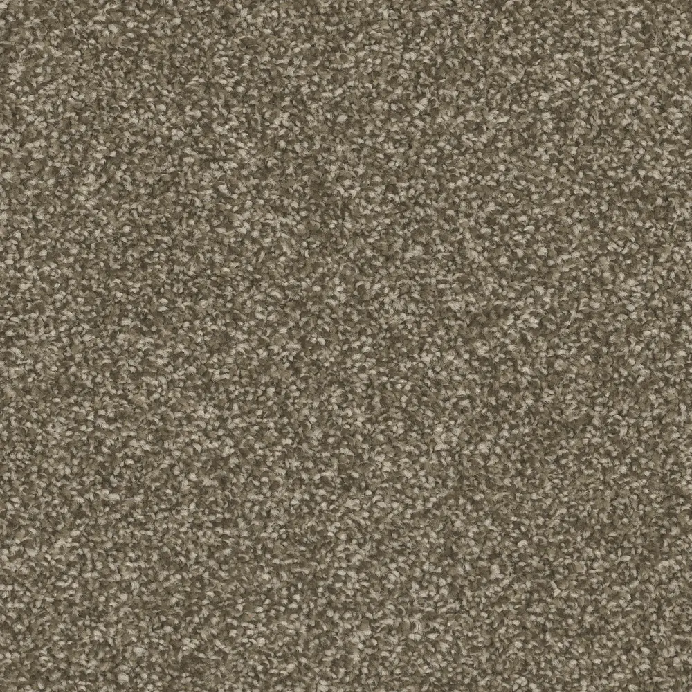 Mohawk West Ridge II Carpet-1
