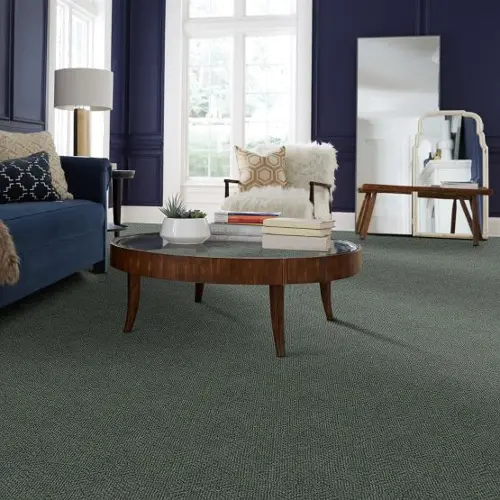 Tuftex Luna Carpet | RC Willey Tuftex Luna Carpet | RC Willey