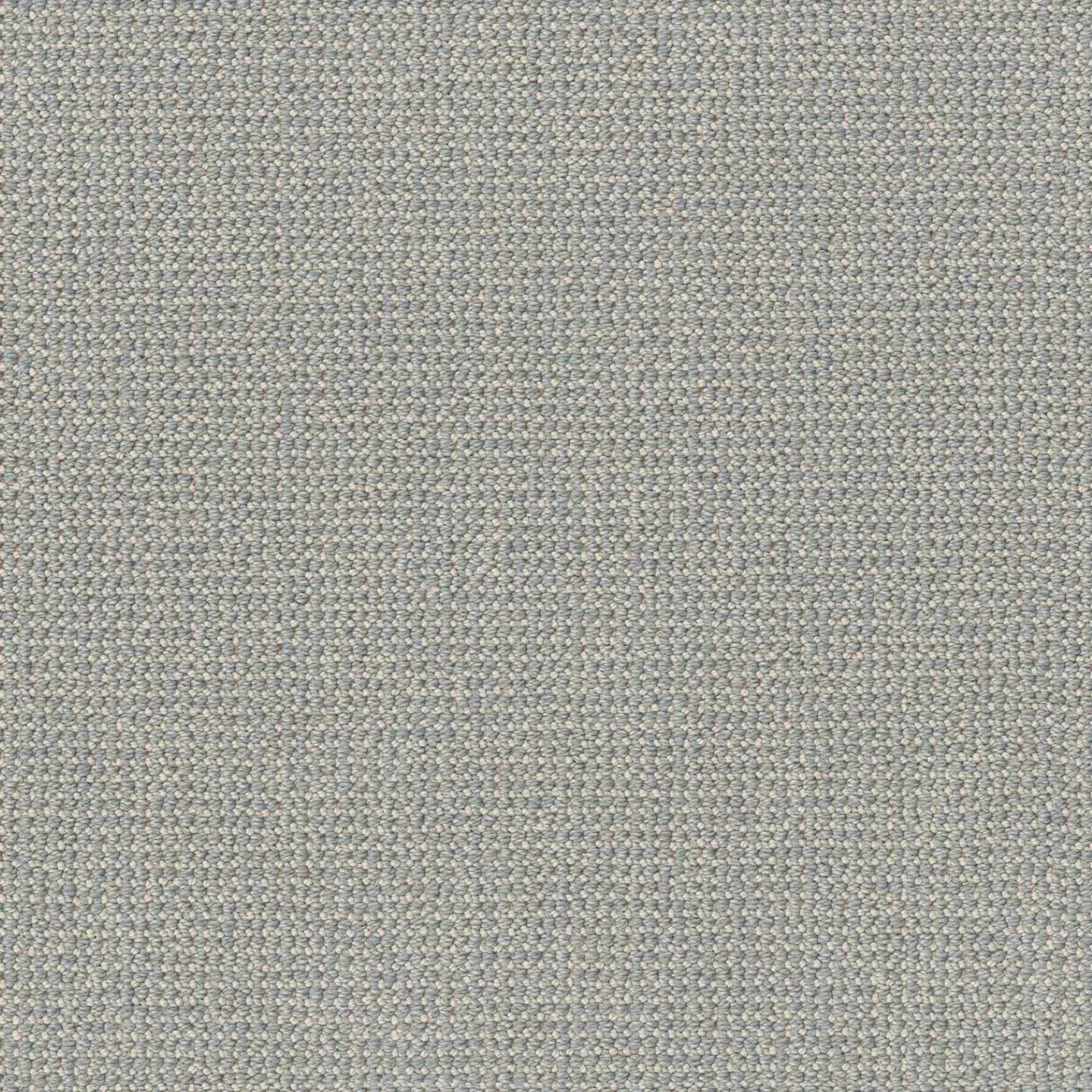 Tuftex Purrfection Carpet | RC Willey Tuftex Purrfection Carpet | RC Willey