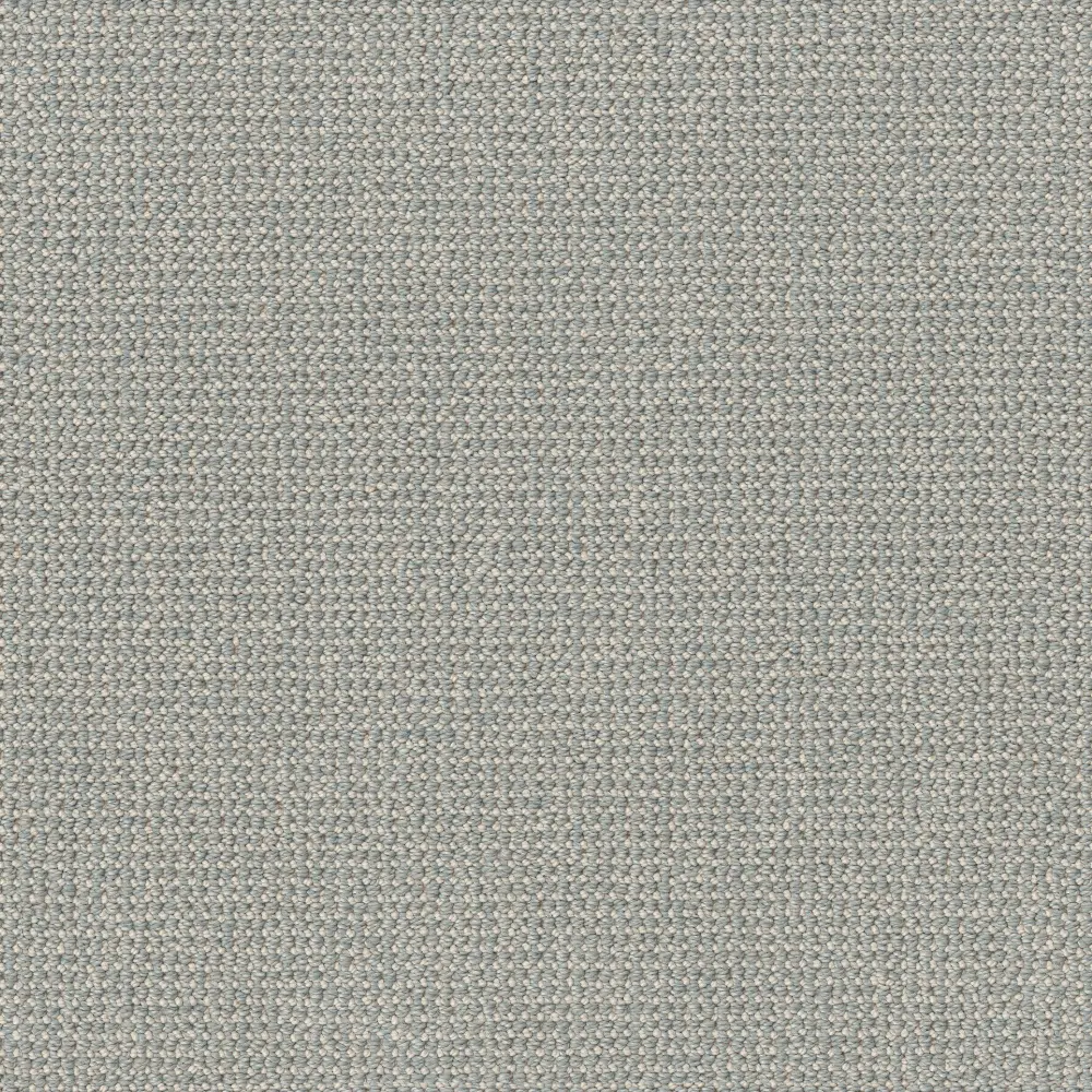 DSW.PURRFECTION Tuftex Purrfection Carpet-1