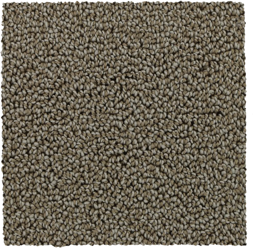 KAR.DESIGN.GLAMOUR Karastan Design Glamour Carpet-1