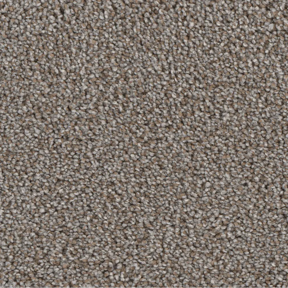 PHN.LUSH Phenix Lush Carpet-1