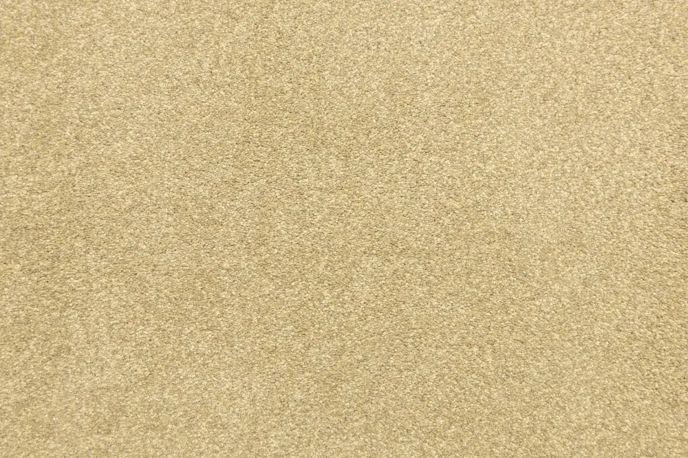 BRE.DEBUT.STOCK Dixie Home Stain Protection Debut Carpet-2